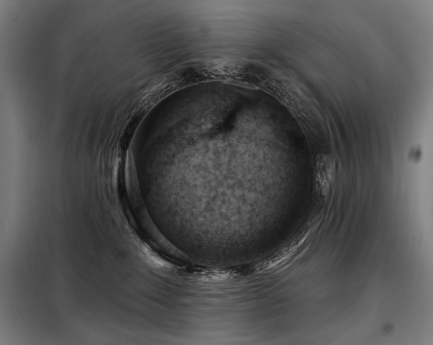 X0000098090235200804041227