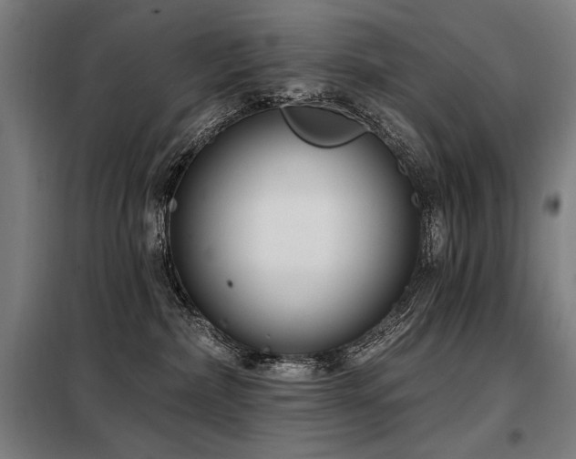 X0000098090236200804041227