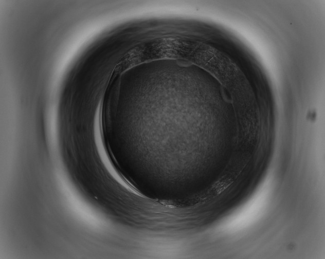 X0000098090239200804041227