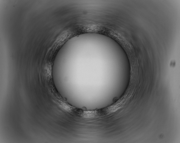 X0000098090240200804041227