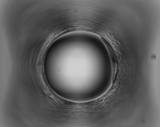 X0000098090241200804041226