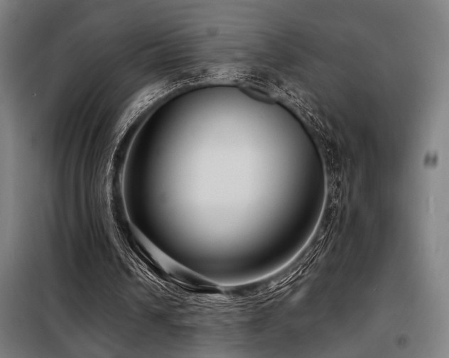 X0000098090242200804041226