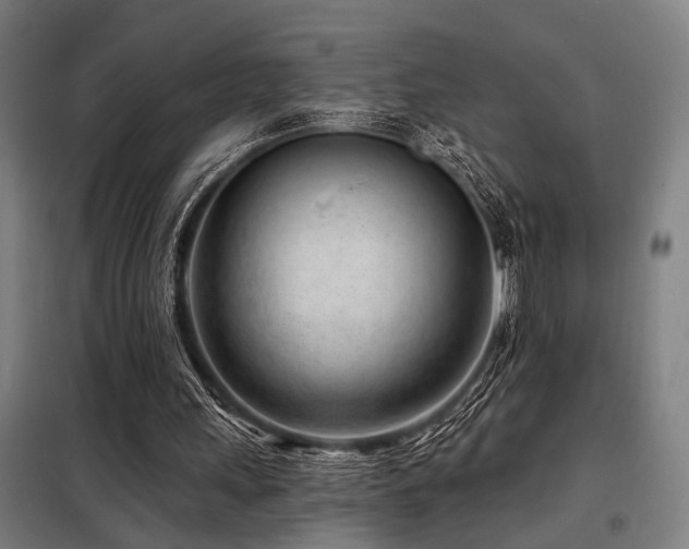 X0000098090243200804041226