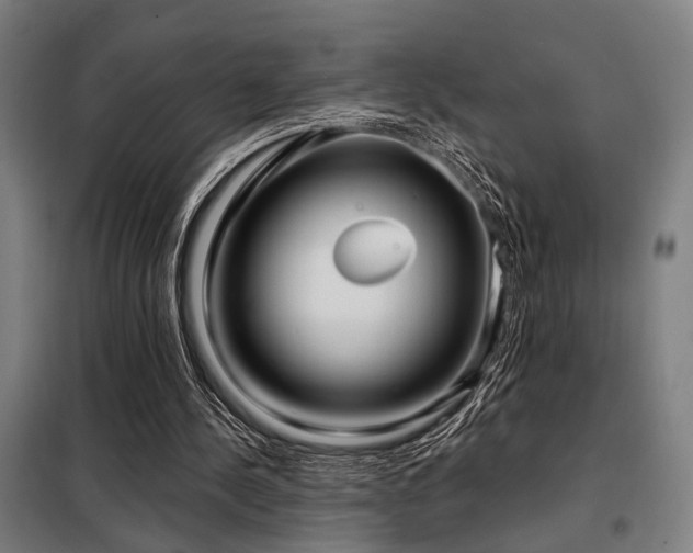 X0000098090244200804041226