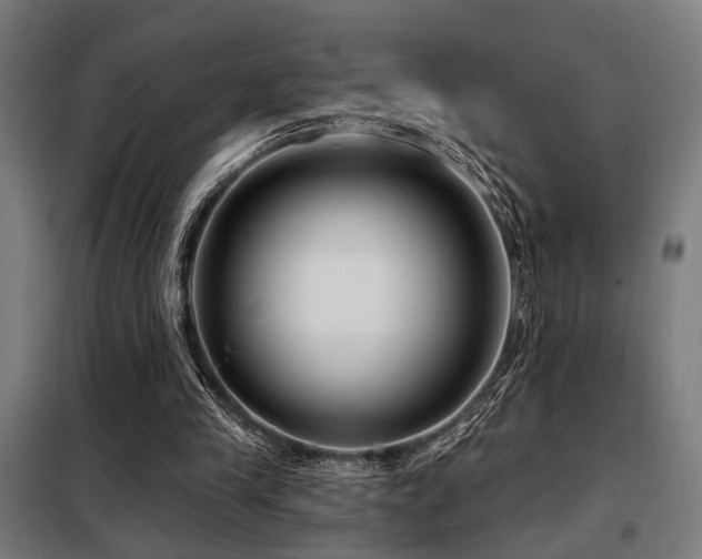 X0000098090245200804041226