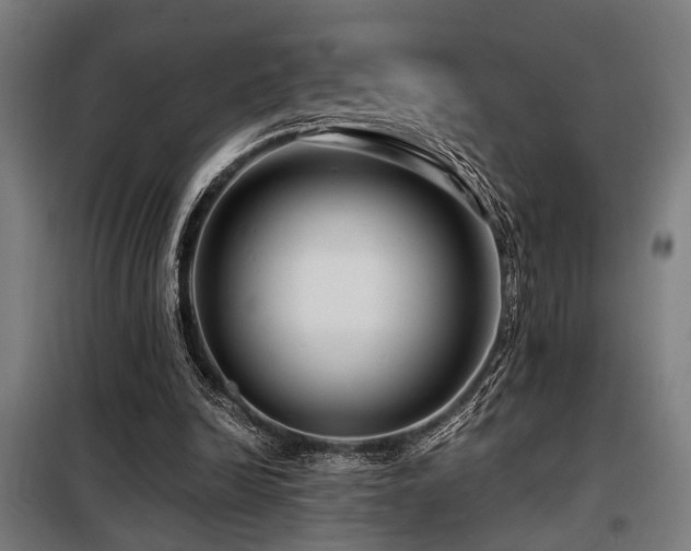 X0000098090246200804041226