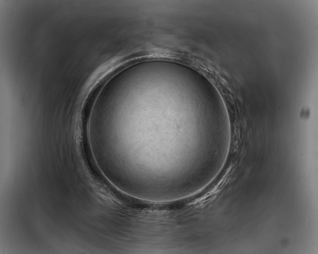 X0000098090247200804041226