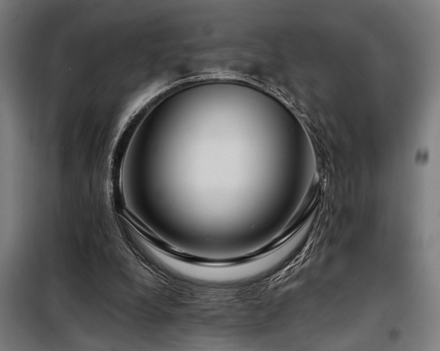 X0000098090248200804041226