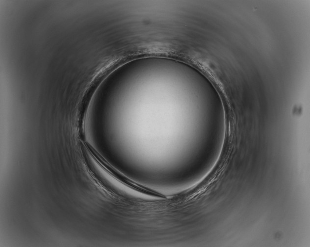 X0000098090249200804041226