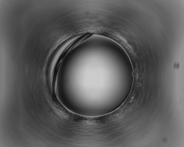 X0000098090250200804041226