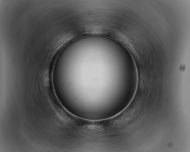 X0000098090251200804041226