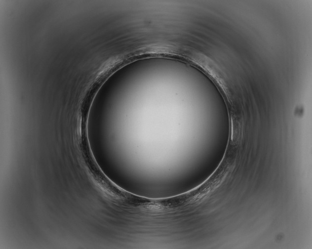 X0000098090253200804041227