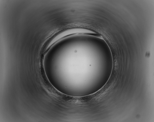 X0000098090254200804041227