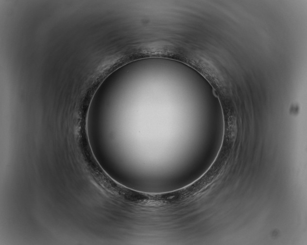 X0000098090255200804041227