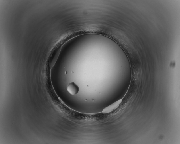 X0000098090256200804041227
