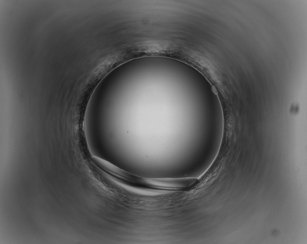 X0000098090257200804041227