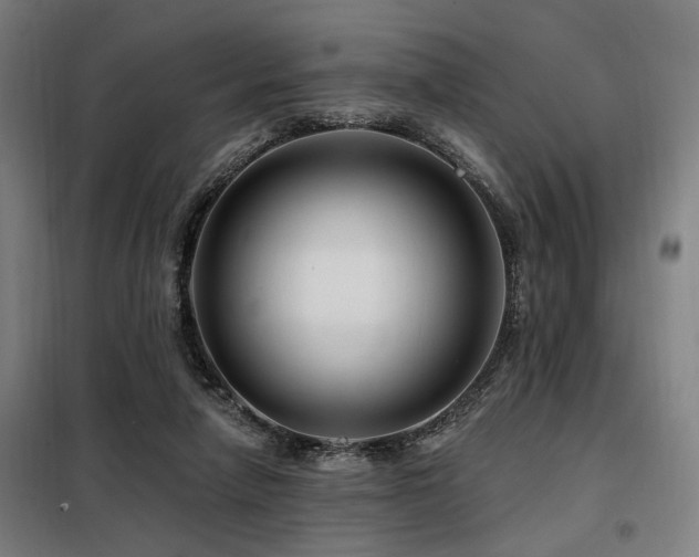 X0000098090258200804041227