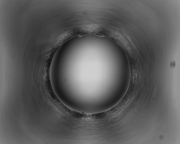 X0000098090259200804041227
