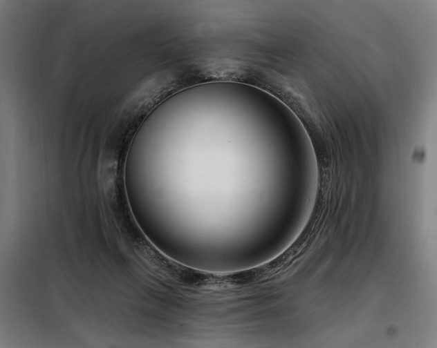 X0000098090263200804041227