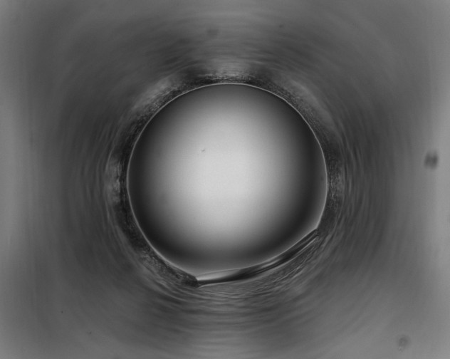 X0000098090264200804041227