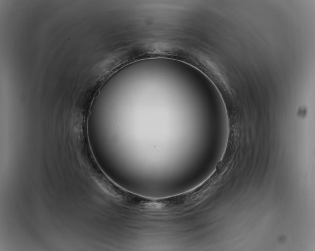 X0000098090265200804041227