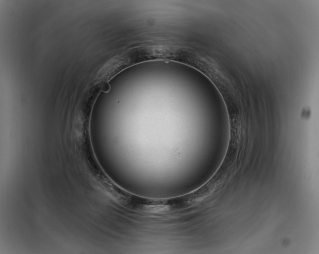 X0000098090266200804041227