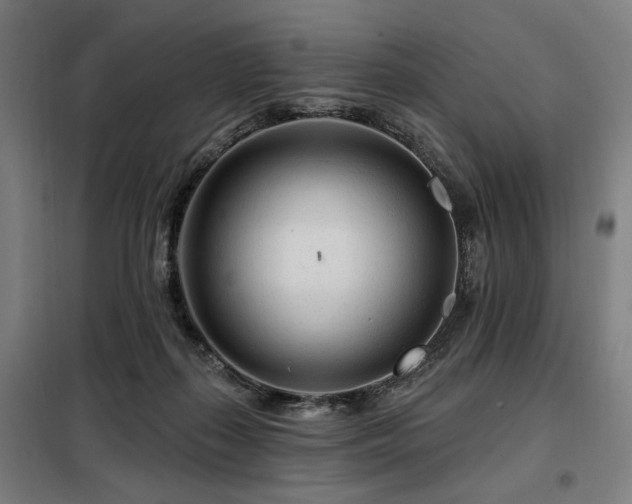 X0000098090267200804041227