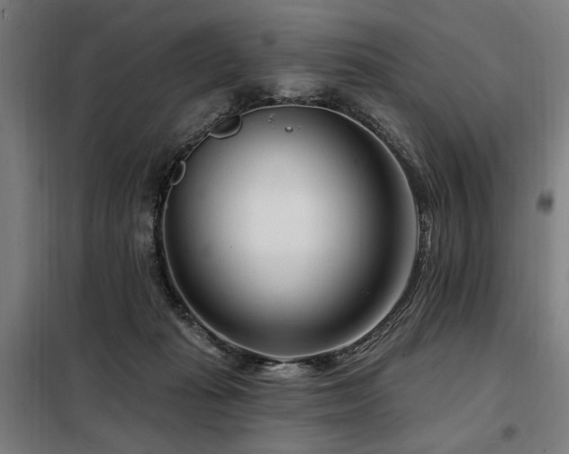 X0000098090269200804041227