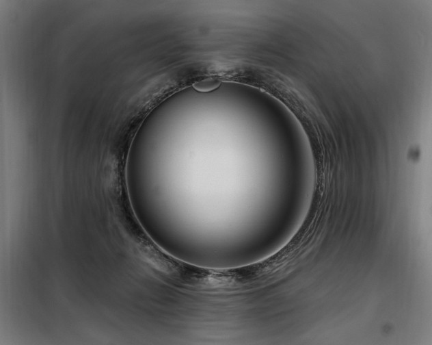 X0000098090270200804041227