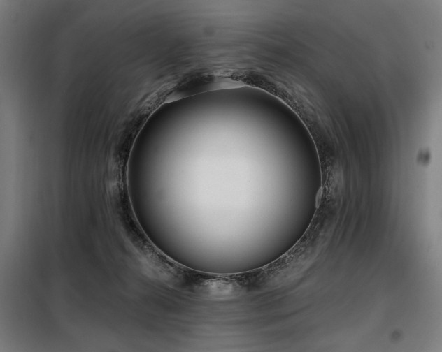 X0000098090272200804041227