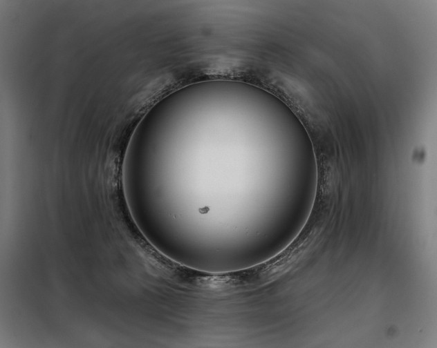 X0000098090273200804041227