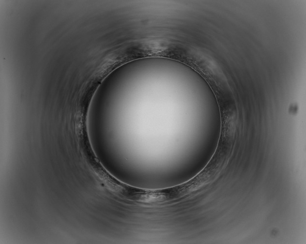 X0000098090274200804041227