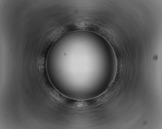 X0000098090275200804041227