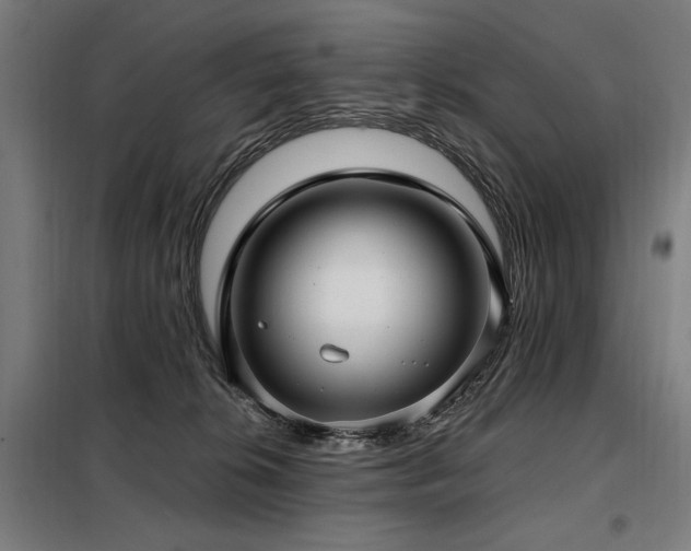 X0000098090276200804041227