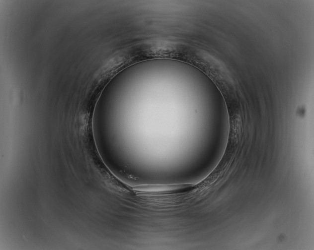 X0000098090278200804041227