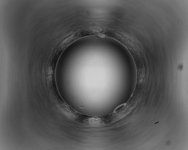 X0000098090279200804041227
