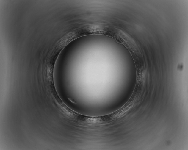 X0000098090281200804041227