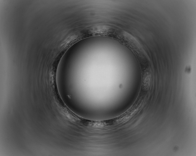 X0000098090282200804041227