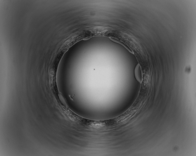 X0000098090283200804041227