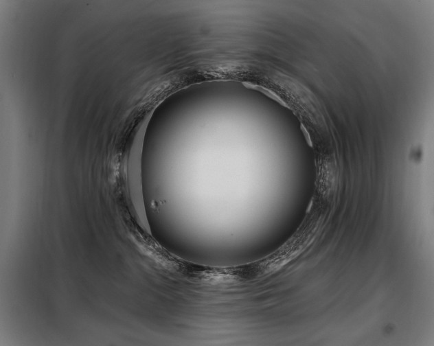 X0000098090284200804041227