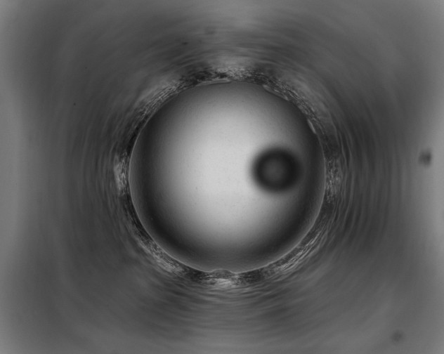 X0000098090285200804041227