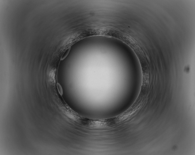 X0000098090286200804041227