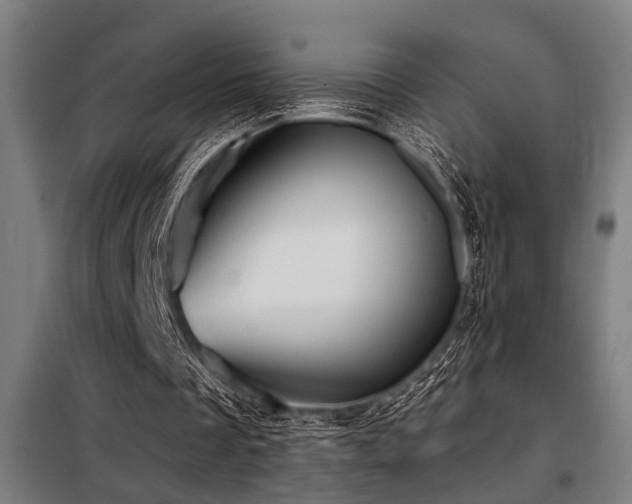 X0000098090289200804041226