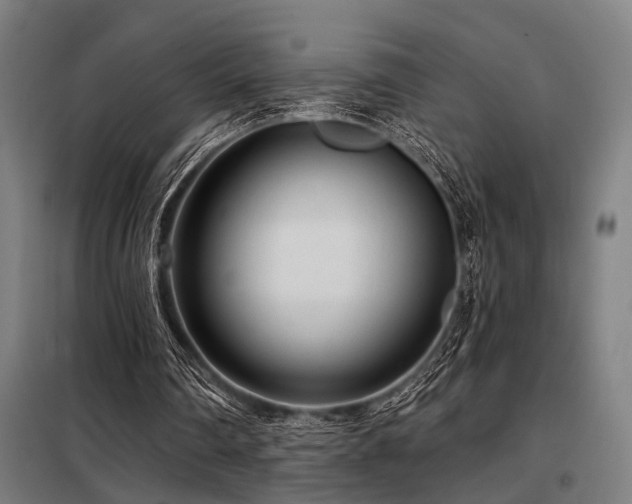 X0000098090290200804041226