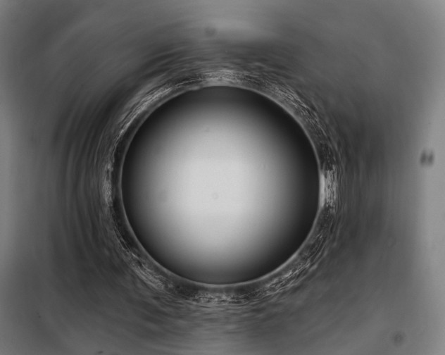 X0000098090291200804041226