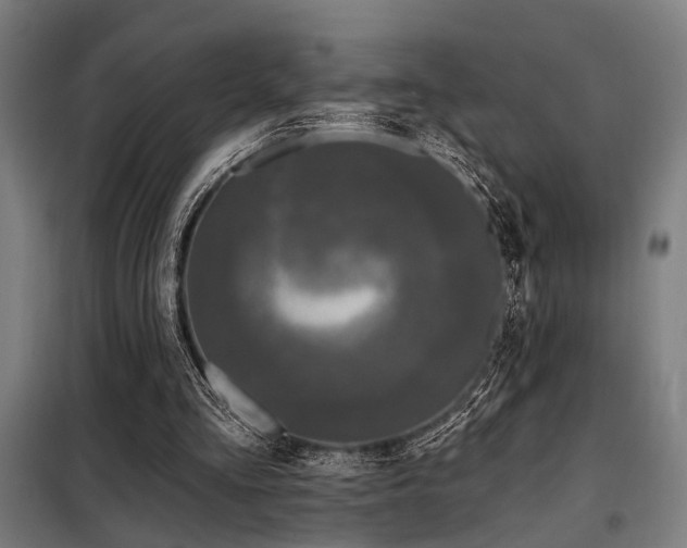 X0000098090293200804041226