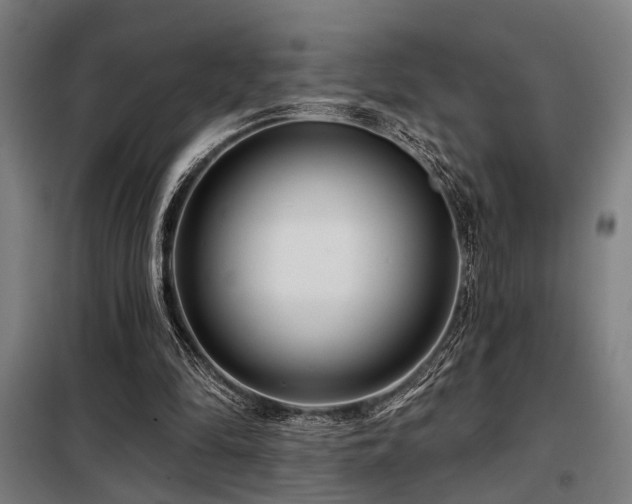 X0000098090294200804041226