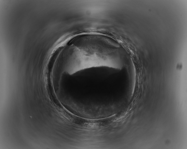 X0000098090295200804041226