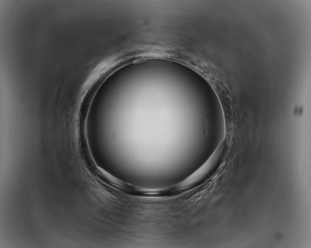 X0000098090296200804041226