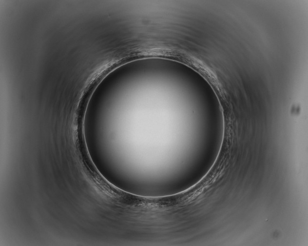 X0000098090298200804041226